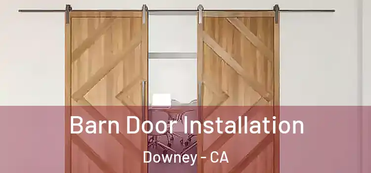  Barn Door Installation Downey - CA
