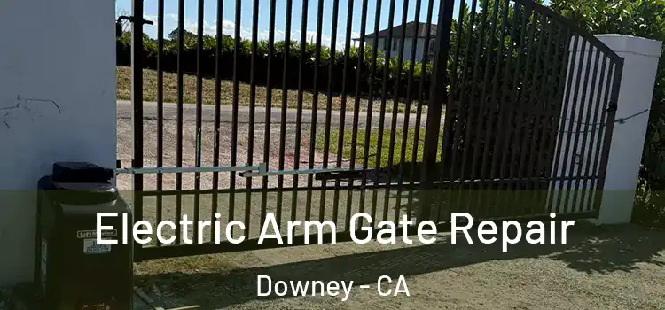  Electric Arm Gate Repair Downey - CA