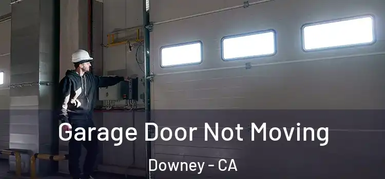  Garage Door Not Moving Downey - CA