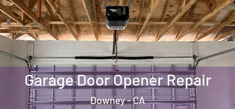  Garage Door Opener Repair Downey - CA