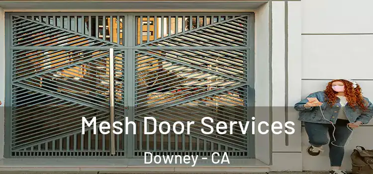  Mesh Door Services Downey - CA