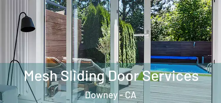  Mesh Sliding Door Services Downey - CA