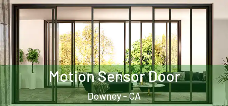 Motion Sensor Door Downey - CA
