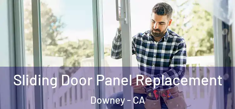  Sliding Door Panel Replacement Downey - CA