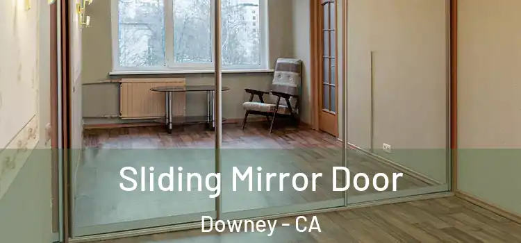  Sliding Mirror Door Downey - CA