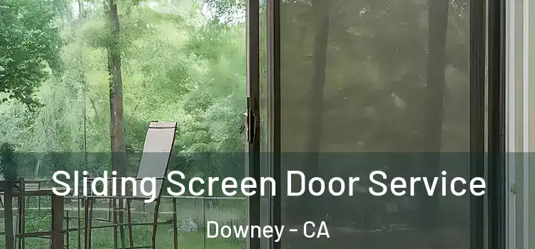  Sliding Screen Door Service Downey - CA
